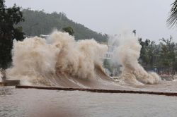 Dự b&aacute;o thời tiết ng&agrave;y mai 21/8: ATNĐ khả năng mạnh th&agrave;nh b&atilde;o, hướng v&agrave;o Bắc Bộ