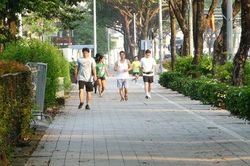 Dương Nội: Từ những tuyến phố thông, hè thoáng