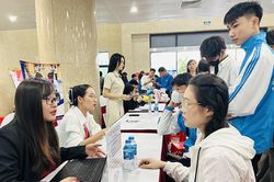Điểm tựa để người lao động thích ứng với thị trường việc làm
