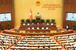 Đề xuất hình sự hóa hoặc bổ sung tội danh với một số hành vi vi phạm