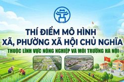 Thí điểm mô hình 'xã, phường Xã hội chủ nghĩa' thuộc lĩnh vực nông nghiệp và môi trường trên địa bàn thành phố Hà Nội