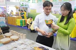 Xuất khẩu gạo: Chuyển lợi thế từ giá cả sang chất lượng và thương hiệu
