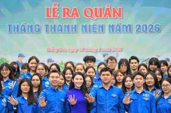 Tỉnh t&aacute;o giữa 'b&atilde;o' th&ocirc;ng tin: Bản lĩnh của người trẻ trong thời đại số