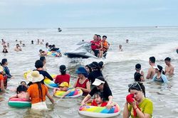 Ba doanh nghiệp mô tô nước ở Cửa Lò bị đình chỉ 3 tháng