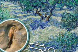Phát hiện bí mật thú vị bị che lấp 128 năm khi soi kính hiển vi bức tranh nổi tiếng của Van Gogh