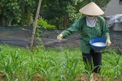 5 nguyên tắc an toàn khi tiếp xúc hoá chất mỗi ngày không được bỏ qua
