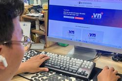 Bộ Khoa học và Công nghệ hủy đấu giá 3 tên miền '.vn'
