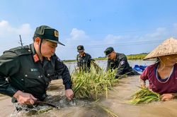 Dầm mình trong dòng nước dữ, viết bằng hơi ấm tình người