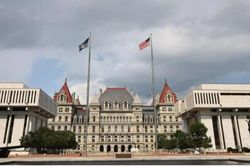 Mỹ bắt giữ người phụ nữ &acirc;m mưu đ&aacute;nh bom T&ograve;a nh&agrave; Quốc hội bang New York