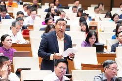 Đại biểu Quốc hội đề nghị làm rõ, thay thế cụm từ 'chung cư có thời hạn' khi sửa Luật Nhà ở