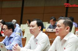 Đại biểu Quốc hội: Có trường hợp tiền bồi thường không đủ thực hiện nghĩa vụ tài chính với lô đất tái định cư