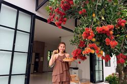 Vợ chồng rời TP.HCM về quê, xây nhà bên gốc chôm chôm mẹ trồng