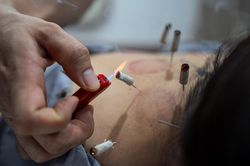 'Mỏ vàng' y học cổ truyền và bài toán kinh tế thảo dược