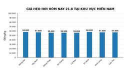 Gi&aacute; heo hơi h&ocirc;m nay 21.8.2026: 19 địa phương đồng loạt tăng