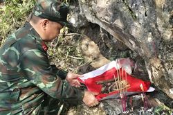 Tìm cho bằng được dù chỉ là mẩu xương hay cái cúc áo