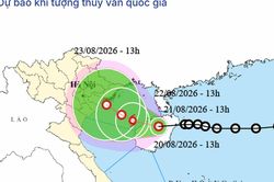 Tin ÁP THẤP NHIỆT ĐỚI, CẢNH BÁO MƯA LỚN, LŨ QUÉT, SẠT LỞ ĐẤT và các chỉ đạo ứng phó