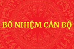 Hướng dẫn thủ tục bổ nhiệm chức vụ lãnh đạo, quản lý đối với công chức, viên chức