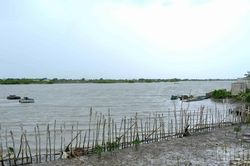 Giữ lại màu xanh cho dải đất Gành Hào
