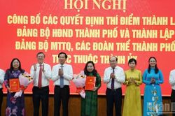 Thí điểm thành lập 2 đảng bộ trực thuộc Thành ủy Cần Thơ