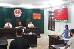 Tòa án nhân dân Khu vực 10-Hà Nội xét xử vụ án dân sự công ích