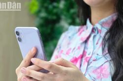 Lừa đảo qua iMessage tại Singapore g&acirc;y thiệt hại 1,7 triệu USD