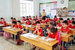 Nghệ An sắp xếp 647 trường học, giảm 48% đầu mối
