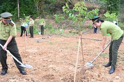 Chuyên gia: Cần coi đất là nguồn vốn tự nhiên được bảo vệ cho các thế hệ tương lai