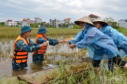 Chủ động ứng phó với bão số 4, các tỉnh thành ven biển từ Quảng Ninh đến Thanh Hóa thực hiện nghiêm Công điện của Thủ tướng