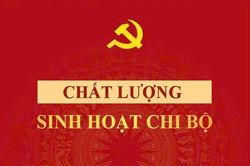 Thực hành theo gương Bác