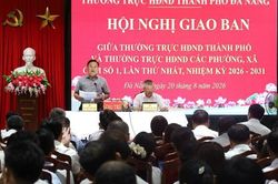 Hội đồng nhân dân hai cấp Đà Nẵng tăng cường phối hợp, sâu sát cơ sở