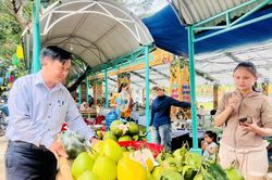 Khai hội Đại Bình - Điểm đến xanh