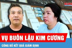 Công bố kết quả giám định kim cương vụ buôn lậu xuyên quốc gia