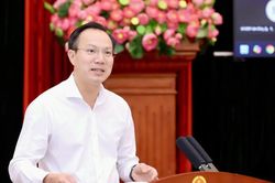 Tháo gỡ khó khăn trong xử lý vi phạm hành chính lĩnh vực giáo dục