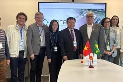 Việt Nam-Brazil thúc đẩy hợp tác đổi mới sáng tạo và chuyển đổi số