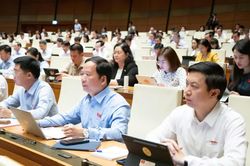 Quốc hội thảo luận về định hướng chính sách sửa đổi Luật Đất đai năm 2024