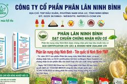 Phân lân Ninh Bình đồng hành cùng nhà vườn nâng giá trị sầu riêng Đắk Lắk