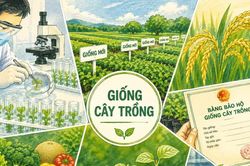 Bộ Khoa học và Công nghệ đề xuất bãi bỏ 17 thủ tục, cắt giảm 5 điều kiện kinh doanh