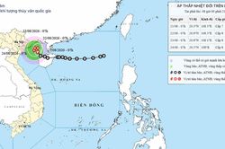 Ảnh hưởng của áp thấp nhiệt đới, đặc khu Bạch Long Vĩ (Hải Phòng) đã có gió mạnh giật cấp 9