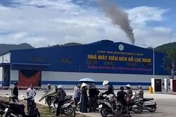 Kỳ 2: Bắc Ninh - Người dân tiếp tục phản ánh công ty sản xuất viên nén gỗ hoạt động có dấu hiệu ô nhiễm môi trường
