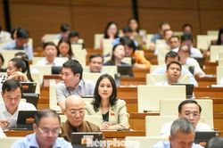 Quốc hội bàn chính sách sửa đổi Luật Đất đai và Luật Nhà ở