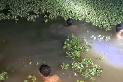 Bé gái mất tích, tìm thấy thi thể dưới ao nước gần nhà
