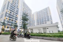 Bắc Ninh mở bán hơn 1.600 căn nhà ở xã hội, giá từ hơn 15 triệu đồng/m²
