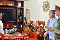 Che giấu doanh thu để trốn thuế, một chủ hộ kinh doanh bị khởi tố