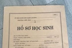 Người phụ nữ lừa tiền 50 phụ huynh bằng chiêu 'chạy trường' bị khởi tố