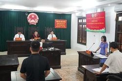 Tòa chấp nhận yêu cầu khởi kiện vụ án dân sự công ích, buộc doanh nghiệp nộp thuế hơn 12,7 tỉ đồng