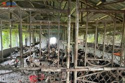 Những dấu hỏi phía sau trại chăn nuôi gà bốc mùi hôi thối ở Ninh Bình