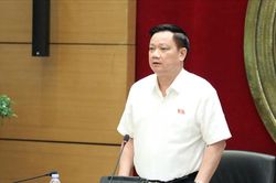 ĐBQH Nghệ An: Không để ưu đãi thuế tạo động cơ 'né' ngưỡng doanh thu