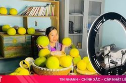 Mở rộng thị trường bưởi Phúc Trạch qua nền tảng số