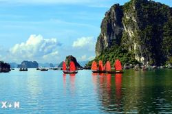 Quảng Ninh khơi dậy khát vọng 'mạnh về biển, giàu từ biển' trong kỷ nguyên mới