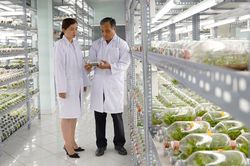 TP Hồ Chí Minh chuyển từ thu hút nhân tài sang trọng dụng nhân tài